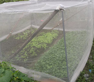 Rede de proteção vegetal do PE/eficiência alta da produção da máquina rede de mosquito