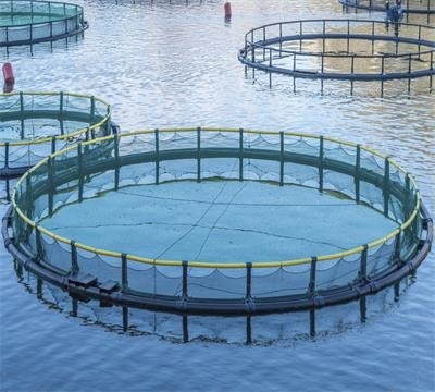 Máquina avançada de fabricação de redes de pesca sem nós para produção rápida e precisa