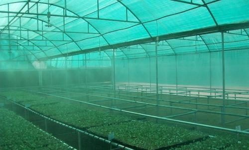 Máquina de fazer rede de sombra de sol de dupla agulha DRCA Tipo de material virgem HDPE Sunshine Green Shading Net