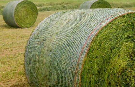 Máquina de Tricotar Rede Agrícola de Fardo HDPE 7500W Estilo Urdidura