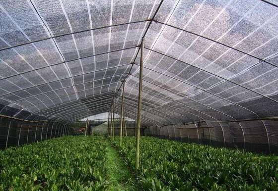 Modelos populares de máquinas de malha de malha para redes agrícolas e industriais