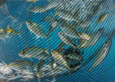 Máquina da fatura líquida dos peixes do oceano profundo, máquina redonda da rede da máscara do fio